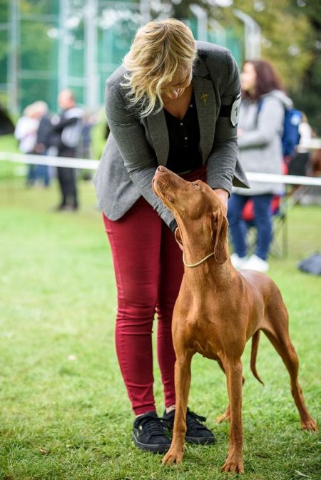 Image of Tina Trading Royal