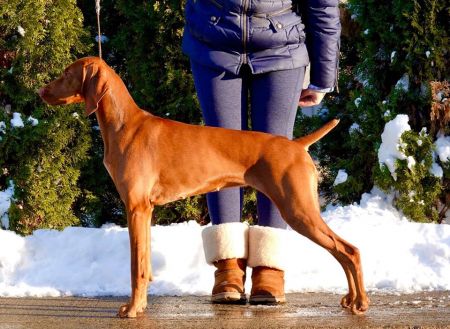 Image of Rhapsody Poetry In Motion