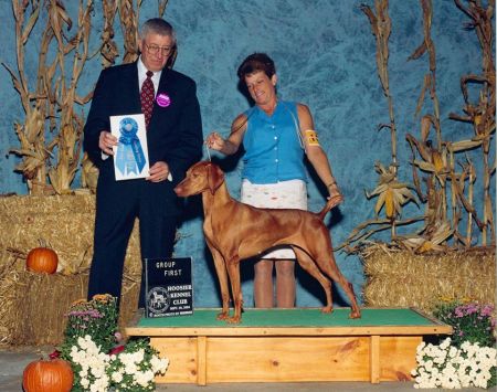 Image of Classic Centre Of Attention