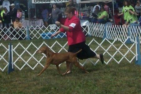 Image of Classic Centre Of Attention