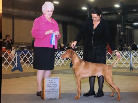 Image of Jazzberry Cardinal Cy Young