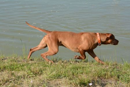 Image of Dust z Jirgalova dvora