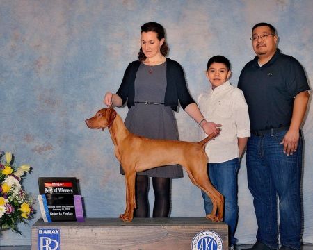 Image of De Oro's Upcountry Quetzal