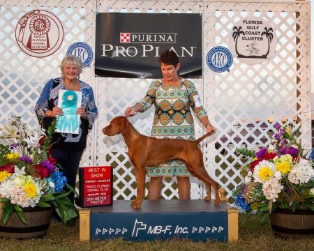 Image of Trublu You Have The Right