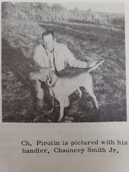 Image of Pirolin