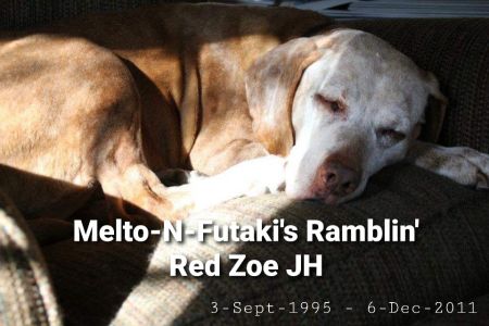 Image of Melto-N-Futaki's Ramblin Red Zoe
