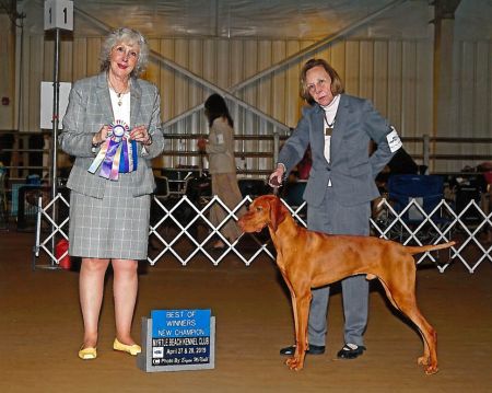 Image of Ky's Jazz'N It Up