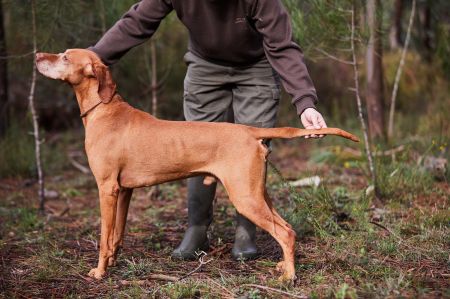Image of Betekints Róna Rufus
