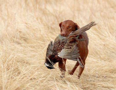 Image of Salt Creek Dawn Patrol Barrel Seeker