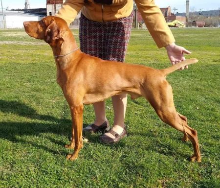 Image of Powerline The Next Chapter