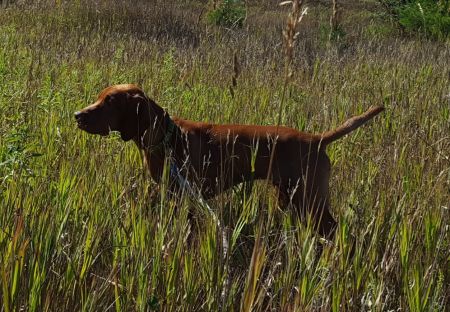 Image of Powerline The Next Chapter