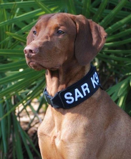 Image of Legacy's Dark Side of the Moon