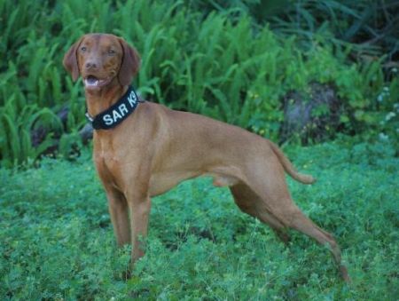 Image of Legacy's Dark Side of the Moon