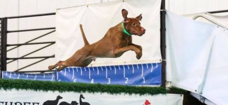 Image of Sienna Pointe's Locked 'N Loaded