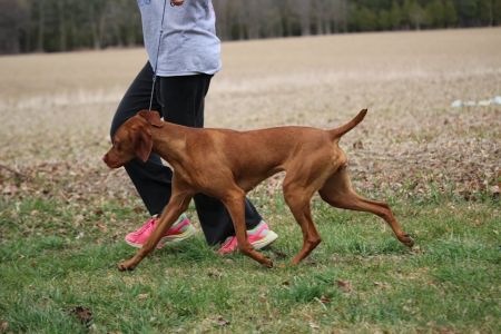 Image of Ourdream's Hold My Halo