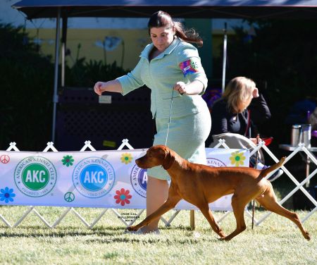 Image of Tradewind's Ida Rather Be Hiking