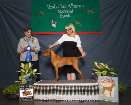 Image of Kizmar Calibre Elite Expressionist