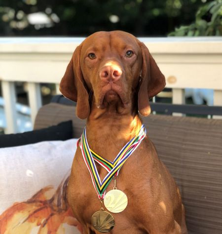 Image of Kizmar Calibre Elite Expressionist