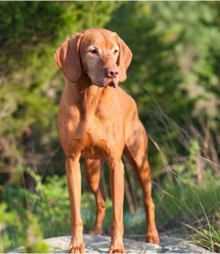 Image of Karajen's Put Me In Coach