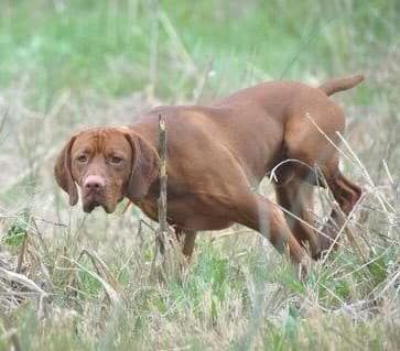 Image of Karajen's Special Connection