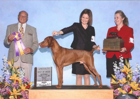 Image of Brazenrock Southern Comfort