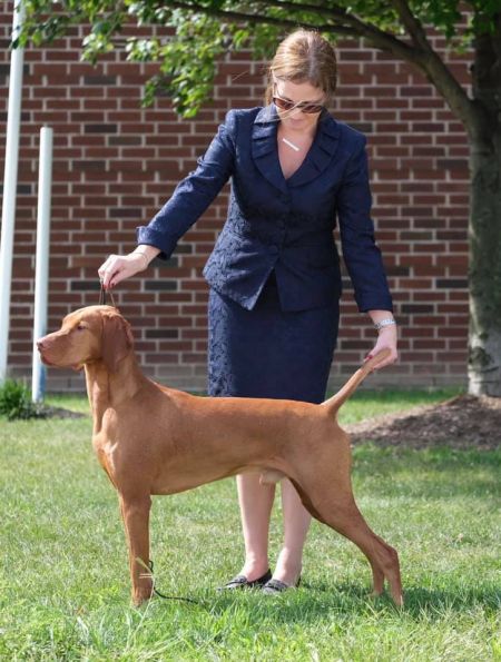 Image of Karajen Bugme's Makin' A Beeline