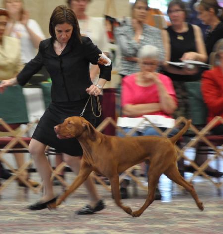 Image of Karajen's Saratoga Special