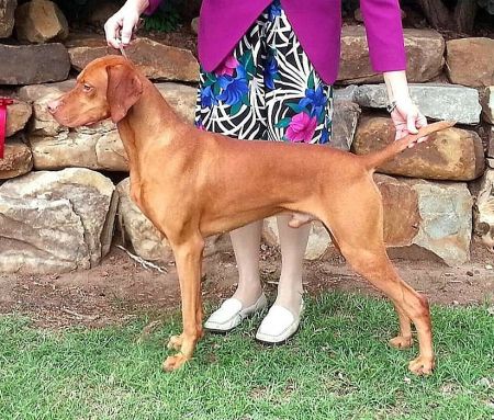 Image of Renaissance Out With Th' Ladies