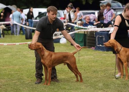 Image of Magasparti Rutinos Thunder