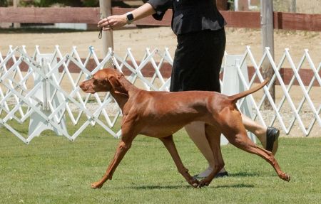 Image of Salt Creek Dawn Patrol Barrel Seeker