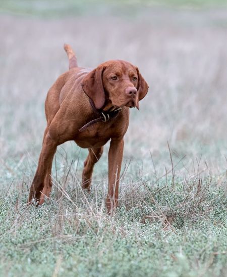 Image of Mythic's Teitr