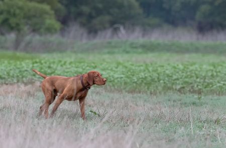 Image of Mythic's Teitr