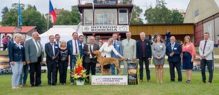 Image of Cesar Delonga Bohemia