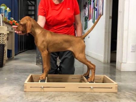 Image of Lekka The One and Unik