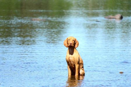 Image of Lekka The One and Unik