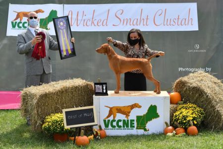 Image of Berkcor's Honest-tea is the Best Policy