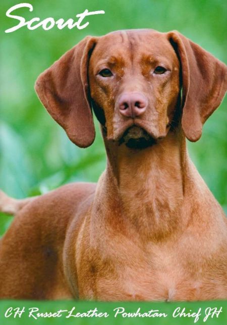 Image of Russet Leather Powhatan Chief