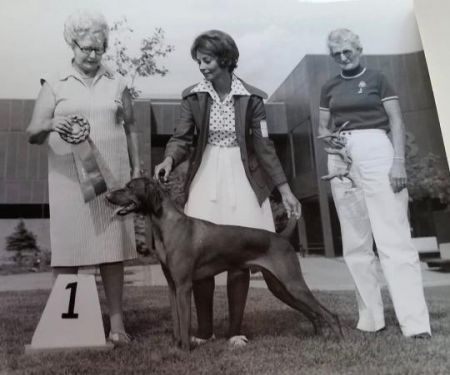 Image of Terreparte Troy