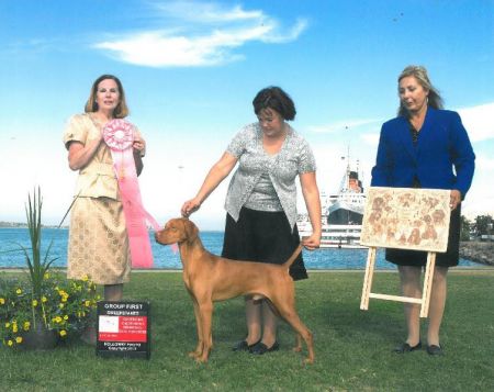 Image of Russet Leather Stormwinds Kizmar High Noon