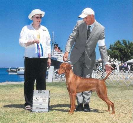 Image of Russet Leather Stormwinds Lightning Strikes
