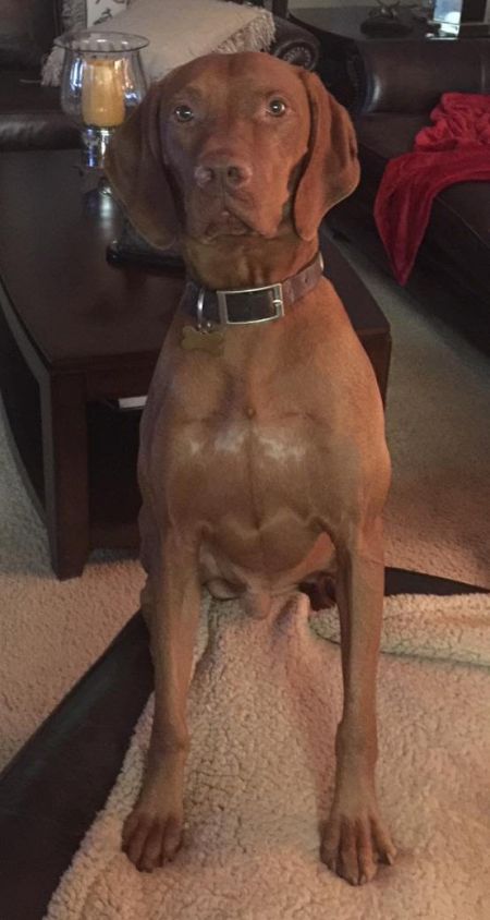 Image of Russet Leather Stormwinds Lightning Strikes