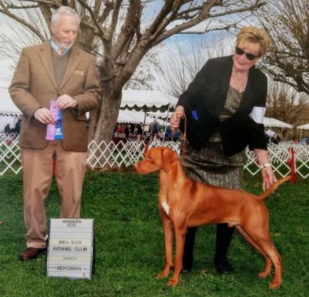 Image of Russet Leather Blazen Warrior