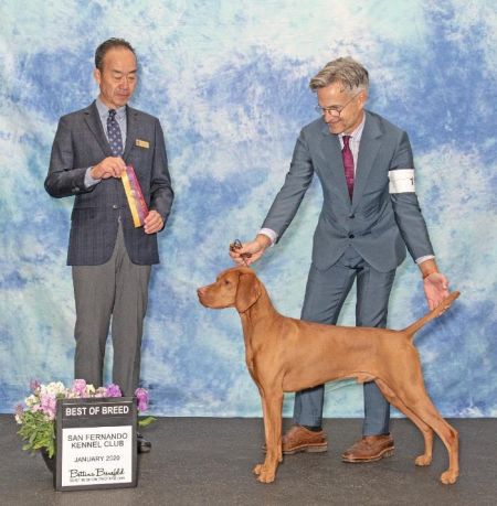 Image of Russet Leather Koa Scout