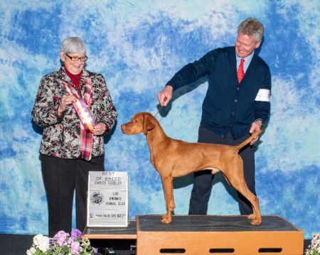 Image of Russet Leather Choctaw Legend
