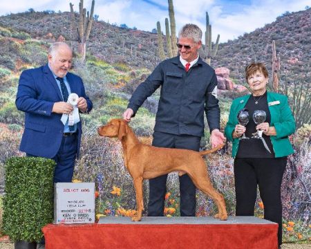 Image of Russet Leather Choctaw Legend