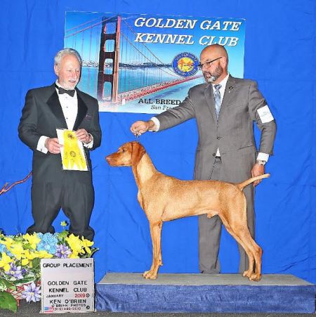 Image of Russet Leather Stormwinds Navajo Code