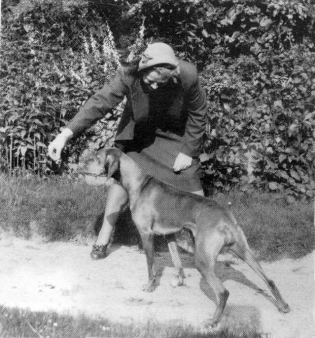 Image of Thora / Thora von Kömlöd