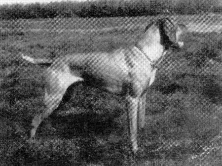 Image of Síksági Csatt