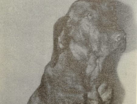 Image of Dina von Schonweide