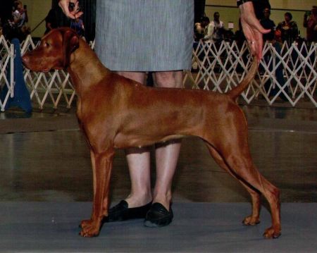 Image of Vista Ridge Silent Night